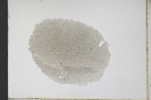 Plane Polarized, S12226
