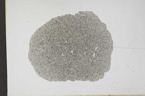 Plane Polarized, S12258/A