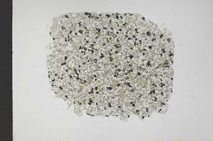 Plane Polarized, S12264
