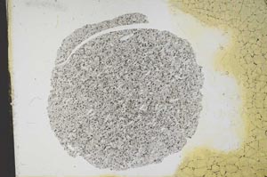 Plane Polarized, S12267