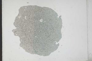 Plane Polarized, S12270