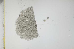Plane Polarized, S12274