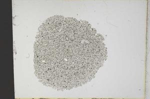 Plane Polarized, S12279