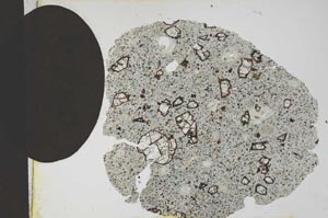 Plane Polarized, S12298