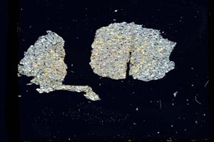 Cross Polarized, S2405