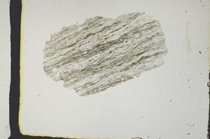 Plane Polarized, S2406