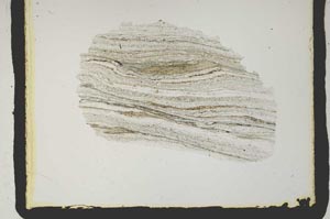 Plane Polarized, S2407
