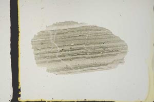 Plane Polarized, S2408