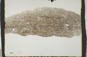 Plane Polarized, S2410