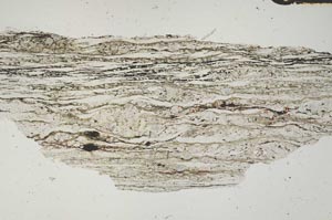 Plane Polarized, S2423