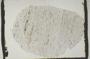 Plane Polarized, S2424