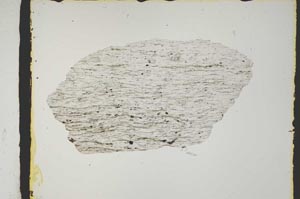 Plane Polarized, S2427