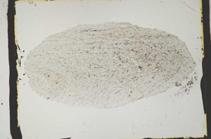 Plane Polarized, S2431