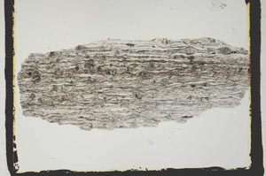 Plane Polarized, S2432
