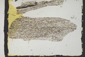 Plane Polarized, S2433