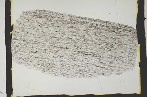 Plane Polarized, S2434