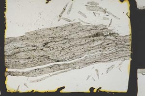 Plane Polarized, S2435