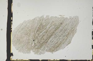 Plane Polarized, S2436