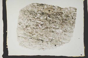 Plane Polarized, S2437