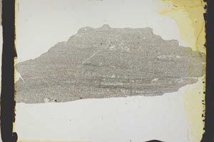 Plane Polarized, S2440