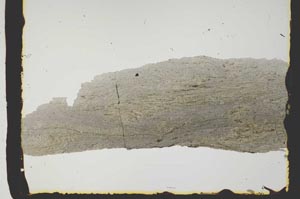 Plane Polarized, S2441