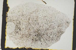 Plane Polarized, S2442