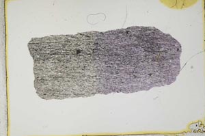 Plane Polarized, S2446