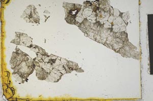 Plane Polarized, S2457