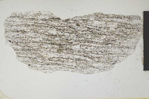 Plane Polarized, S2488
