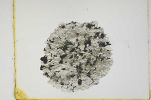Plane Polarized, S2493