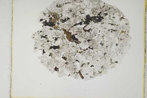 Plane Polarized, S2497