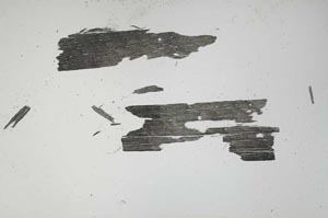 Plane Polarized, S2567