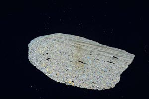 Cross Polarized, S2568