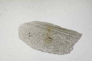 Plane Polarized, S2568