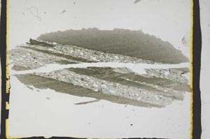Plane Polarized, S2569