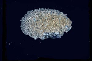 Cross Polarized, S2577