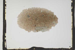 Plane Polarized, S2577