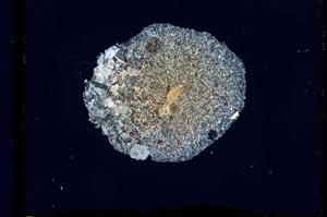 Cross Polarized, S2578