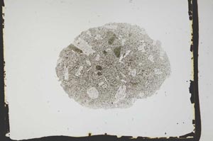 Plane Polarized, S2581