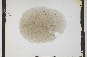 Plane Polarized, S2582