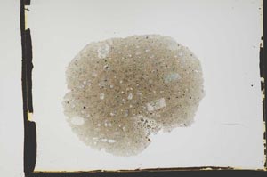 Plane Polarized, S2583