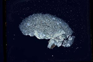 Cross Polarized, S2584