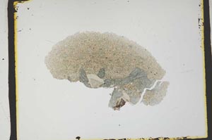 Plane Polarized, S2584