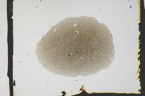 Plane Polarized, S2586