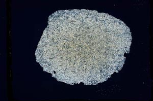 Cross Polarized, S2587