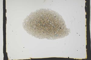 Plane Polarized, S2590