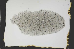 Plane Polarized, S2592