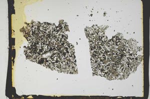Plane Polarized, S2594