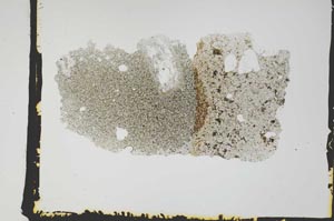 Plane Polarized, S2612
