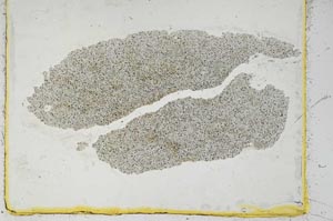 Plane Polarized, S2616